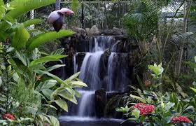 Bannerghatta Butterfly Park among the best parks in Bangalore for nature lovers